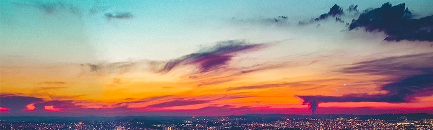 双峰茶虫网_双峰品茶